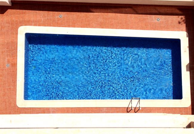 La piscina y terraza Fuera de los apartamentos hay una terraza donde se encuentra la piscina. Hay duchas y algunas hamacas para usar.