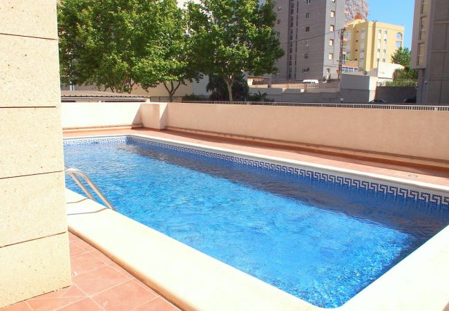 Piscina y terraza Fuera de los apartamentos hay una terraza donde se encuentra la piscina. Hay duchas y algunas hamacas para usar.
