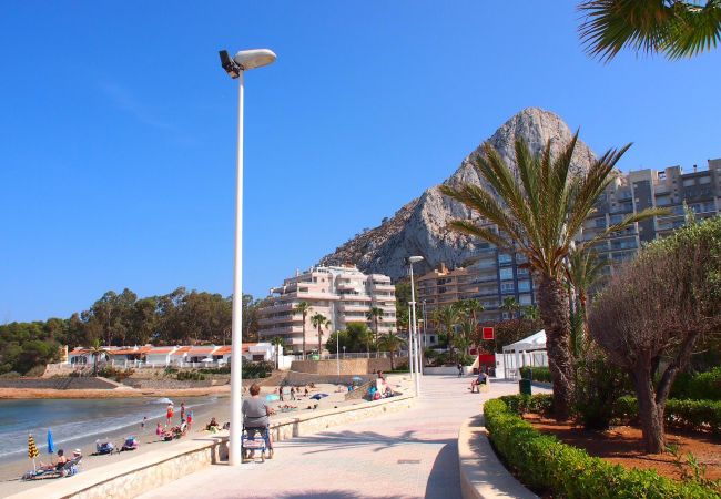 Vistas de los apartamentos Los apartamentos tienen vistas espectaculares del mar y del pueblo.
