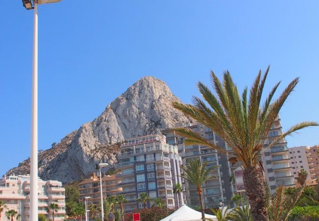Vistas de los apartamentos Los apartamentos tienen vistas espectaculares del mar y del pueblo.