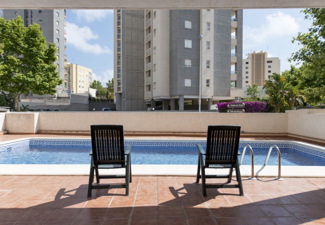 La piscina y terraza Los apartamentos tienen acceso a la piscina privada y la terraza. Hay algunas hamacas para descansar en el sol.