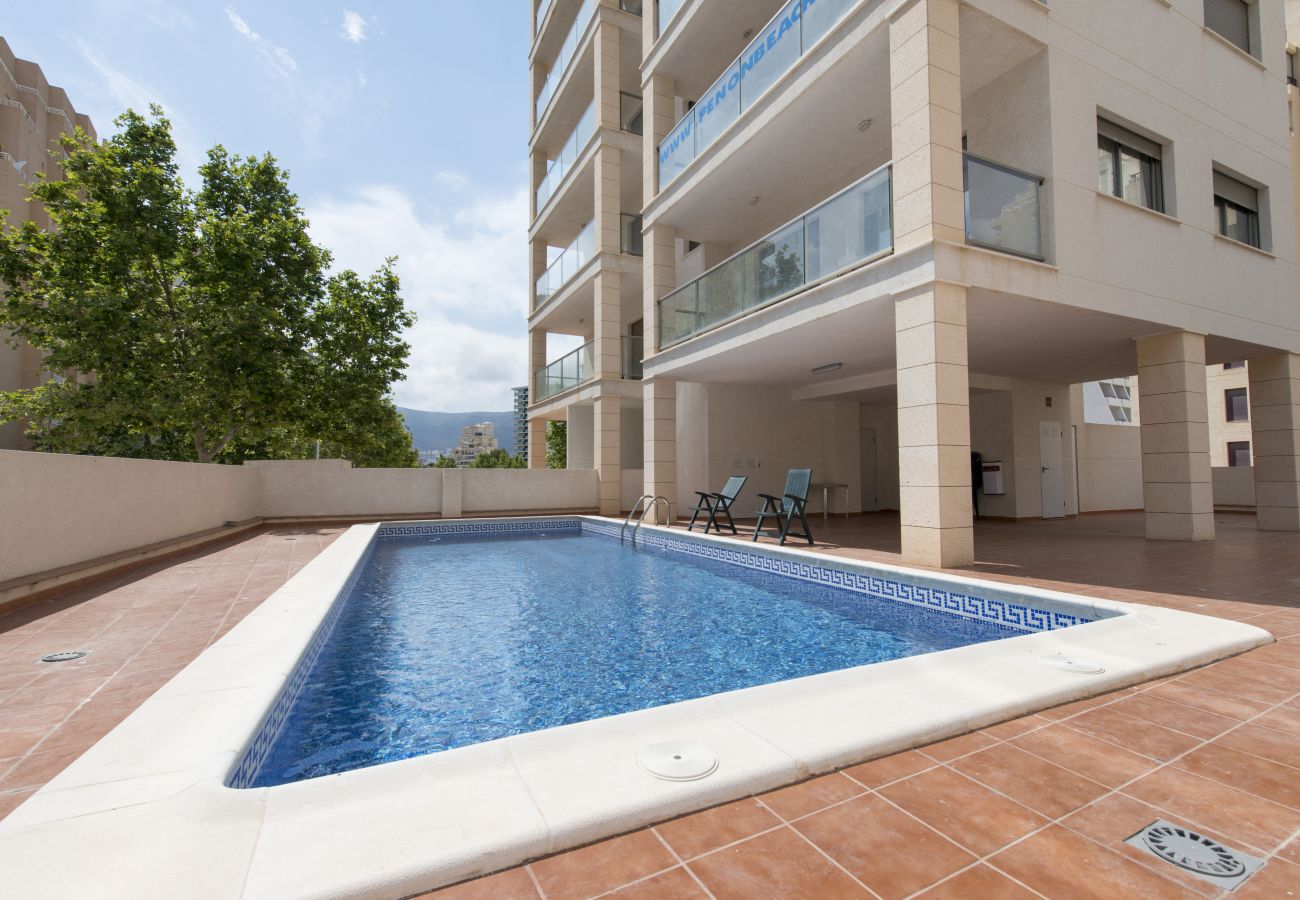 La piscina y terraza Los apartamentos tienen acceso a la piscina privada y la terraza. Hay algunas hamacas para descansar en el sol.