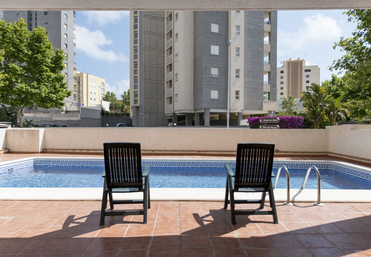 La piscina y terraza Los apartamentos tienen acceso a la piscina privada y la terraza. Hay algunas hamacas para descansar en el sol.